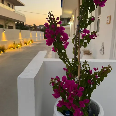 Appartement Olia Olga