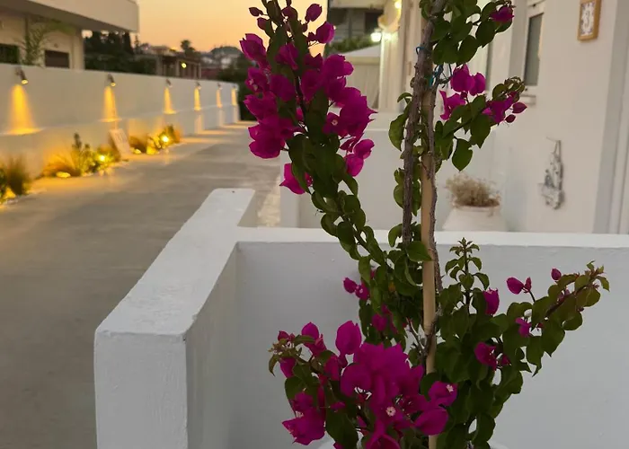 Apartament Olia Olga