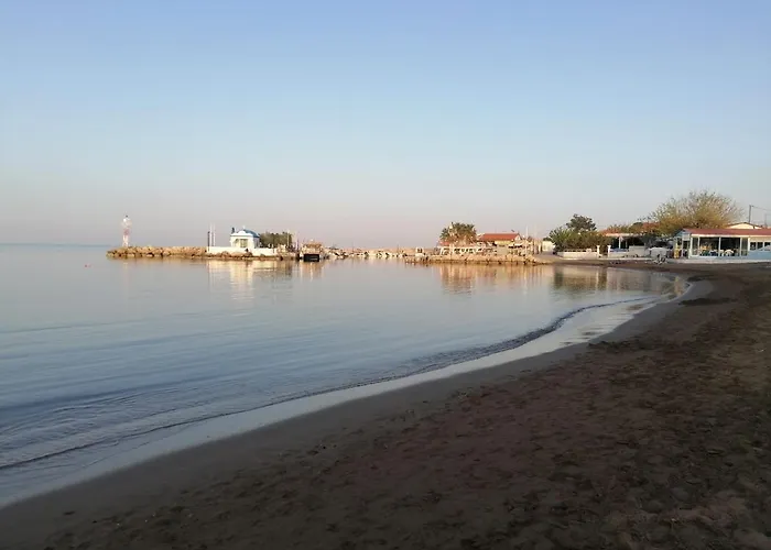 Olia Olga ファリラキ