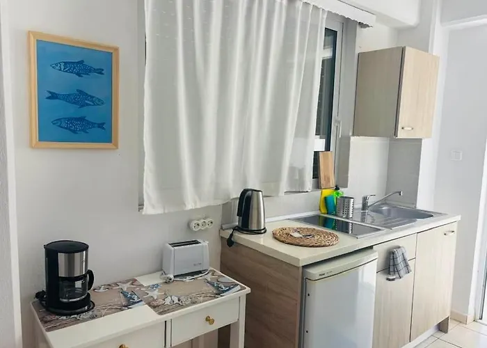 Olia Olga Apartament *
