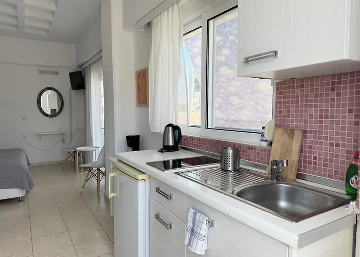 Apartament Olia Olga *